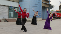 广场舞《火红的萨日朗》草原最美的花，紫竹院杜老师舞蹈队