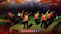 踏雪寻梅舞蹈队：广场舞《秋风吹落一滴泪》