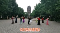 实拍北京紫竹院大妈跳广场舞《做你的雪莲》歌好听，舞好看
