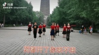 实拍北京大妈跳广场舞《花都开了你来不来》动感十足，非常好看