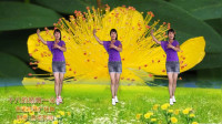 经典老歌广场舞《十八的姑娘一朵花》