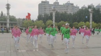 流星雨曳步舞，大庆站前黑人曳舞团队东湖广场演出节目，