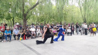 经典民歌广场舞《北京的金山上》藏歌天籁之音，好听又好看