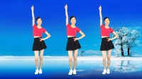 网红广场舞《谁的人生不孤独》精选流行64步健身操