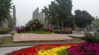 邯郸龙湖舞蹈队广场舞《黄玫瑰》