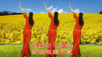 十里清清广场舞《和谐中国》献礼祖国华诞，背面视频
