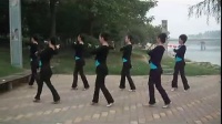 《开车游西藏》广场舞蹈视频大全初学者