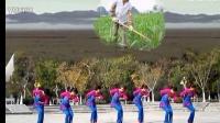 2013最热广场舞《俺是农民》含背面演示