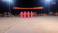 吴川市吴阳霞街二队参加上博吉村广场舞交流晚会