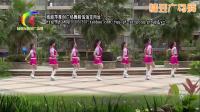 杨丽萍广场舞 想着你的好32步DJ版本 动感舞蹈