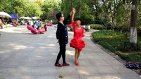 探戈（安庆菱湖公园）
 交谊舞 双人舞 广场舞 舞厅舞 中老年舞蹈