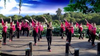 荷塘月色【团队】 广场舞 民族舞 健身舞 曾惠林舞蹈系列