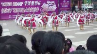 华美整形杯怀化广场舞电视大赛藏族舞吉祥谣