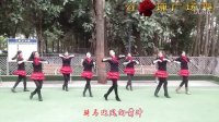 红玫瑰广场舞（原香草）