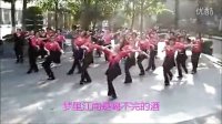 一：烟花三月下扬州《集体》曾惠林广场舞-剪辑 依木易