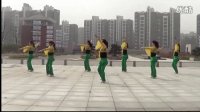 青扬广场舞——西海情歌