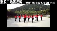 叶子广场舞视频教程  新疆新