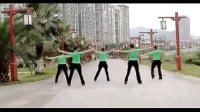 八步广场舞教学视频