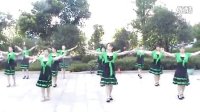 郴州荧光舞蹈队广场舞摆手舞