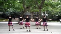 上海芳华广场舞  欢快节奏（二步摇） 领舞 芳华