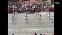 淅川县“金蓝湾杯”广场舞大赛《一剪梅太极拳》