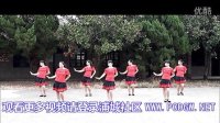 浦城县石陂镇案山下广场舞 今夜舞起来 有歌词 超清版视频