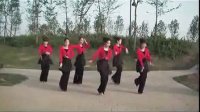 2013美久动动广场舞恰恰 最炫民族风 广场舞蹈视频大全 标清