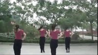 2013美久动动广场舞恰恰 真的不容易 广场舞蹈视频大全 标清