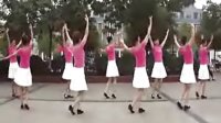 广场舞《雪莲姑娘》广场舞蹈视频大全