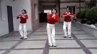 2013周思萍广场舞蹈视频大全-得意的笑 