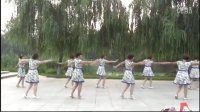 西杨村轻舞飞扬广场舞—最动听的情歌