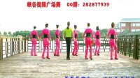 峡谷视频广场舞《茉莉花》表演版含背面演示