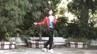 龙凤广场舞 8步教学 舞动精灵