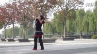 陶城知音广场舞 最美西藏