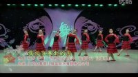 华语群星-我爱你塞北的雪 (96步 广场健身舞)
