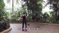 大地飞歌 广场舞 健身舞 民族舞 曾惠林舞蹈系列（流畅）