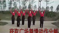 美久动动 广场舞视频 最炫民族风 