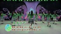 草原绿了 杨艺応子2013最新全民广场舞
