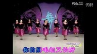 广场舞-掀起你的盖头來-北京风光无限舞蹈団[5分42秒].mpg