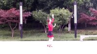 五洲国际晴雨广场舞——红梅赞——单人