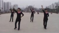 巨野县麟州人民公园麟州人民公园舞蹈队——广场舞我从草原来