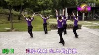 心上的姑娘（歌词字幕）紫紫雨广场舞