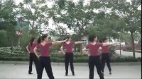 2013中老年广场舞大全 广场舞教学 我要去西藏