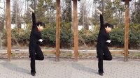 秦姐学跳广场舞8——《茉莉花》