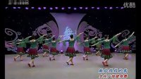 2013年杨艺最新广场舞第七季《献给妈妈的歌》（流畅）