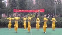 周思萍广场舞--印度舞(2014)(正面 背面)