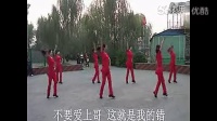 2013最新最流行广场舞 不要爱上哥（流畅）