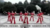 《印度舞曲》广场舞教学_减肥方法-高清