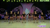 媞伽广场舞服装 精品教学视频推荐，杨艺广场舞欣赏讲解 天蓝蓝