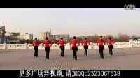 2016杨艺广场舞快乐老家